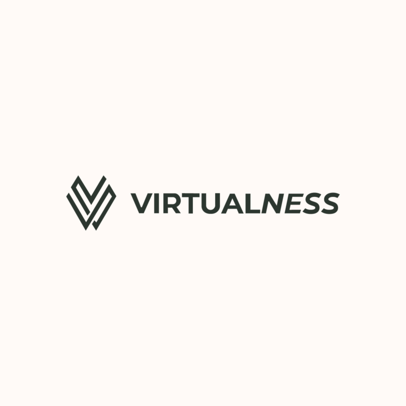 Virtualness Logo